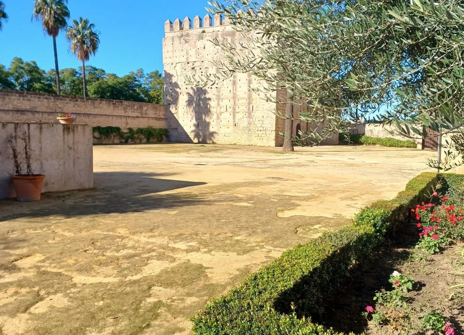 בית אירוח חרז Habitacion Privada Jerez 1 ספרד